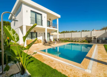 premium_photo-1682377521625-c656fc1ff3e1